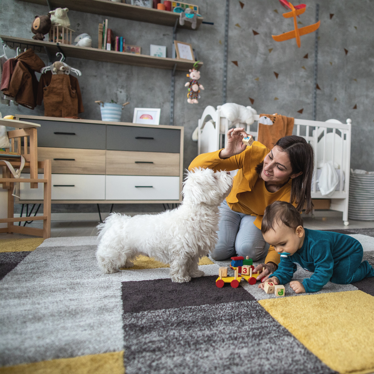 Carpet cleaning